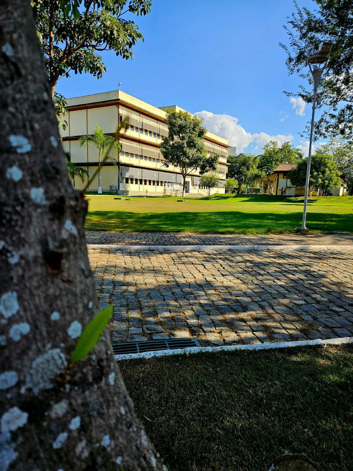 					Ver Vol. 5 N.º 1 (2025): Dossiê temático: UFF 40 anos: Trajetórias de Pesquisas e Formação Docente
				